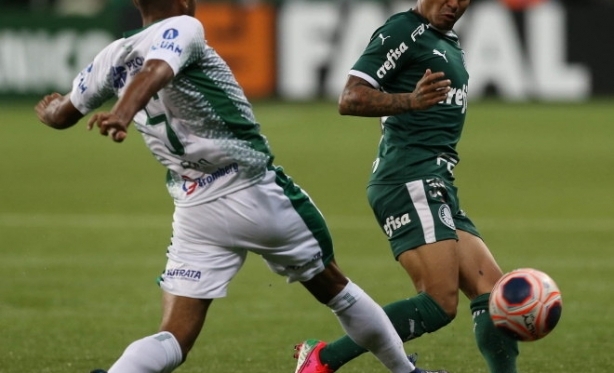 Dudu destaca unio no Palmeiras: ' assim que se constri um campeo'
