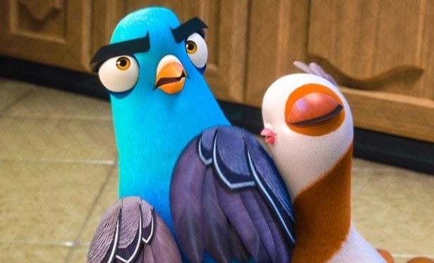 Um Espio Animal: Will Smith vira um pombo para cumprir misso com Tom Holland em novo trailer